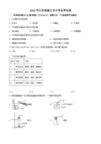 2024年江苏省镇江市中考化学试卷（原卷版+解析版）