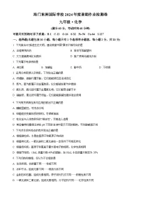 江苏省南通市海门区东洲国际学校2024-2025学年九年级上学期开学化学试题（原卷版+解析版）