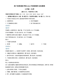 江苏省南通市海门区东洲国际学校2024-2025学年九年级上学期开学化学试题（解析版）