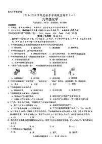 广西南宁市第三中学2024-2025学年九年级上学期开学检测化学试题+