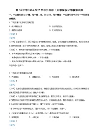 安徽省合肥市第三十九中学2024-2025学年九年级上学期开学验收化学模拟试卷（解析版）