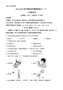 广西南宁市第三中学2024-2025学年九年级上学期开学检测化学试题 （原卷版+解析版）