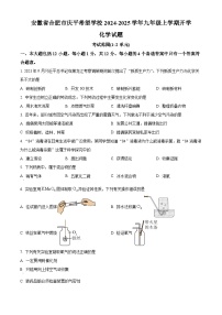 安徽省合肥市庆平希望学校2024-2025学年九年级上学期开学化学模拟试卷（原卷版+解析版）