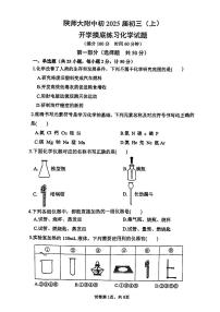 陕西师范大学附属中学初中2024-2025学年九年级上学期开学摸底化学试题