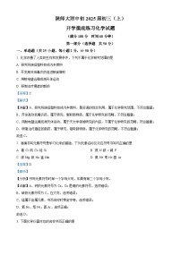 陕西师范大学附属中学初中2024-2025学年九年级上学期开学摸底化学试题（解析版）