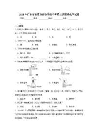 2024年广东省东莞市部分学校中考第三次模拟化学试题（附答案解析）