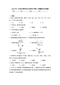 2024年广东省东莞市部分学校中考第三次模拟化学试题（附答案解析）