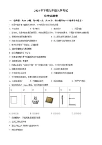 湖南省郴州市第六中学观山学校2024-2025学年九年级上学期入学考试化学试题（原卷版）