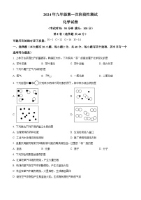广西大学附属中学2024-2025学年九年级上学期开学考试化学试题（原卷版）