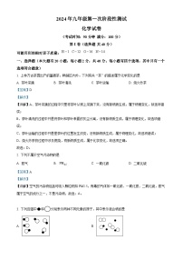 广西大学附属中学2024-2025学年九年级上学期开学考试化学试题（解析版）