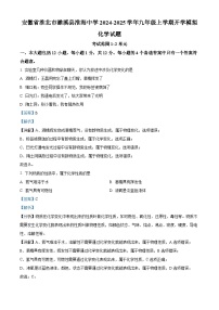 安徽省淮北市濉溪县淮海中学2024-2025学年九年级上学期开学化学模拟试卷（解析版）