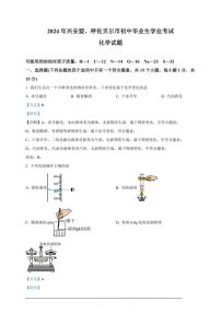 [化学]2024年内蒙古自治区兴安盟、呼伦贝尔市中考真题化学试题(原题版+解析版)