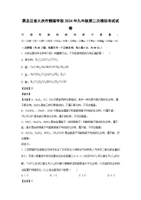 [化学]黑龙江省大庆市靓湖学校2024年九年级第二次模拟考试试卷(解析版)