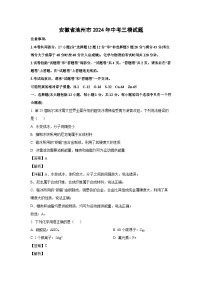 [化学][三模]安徽省池州市2024年中考试题(解析版)