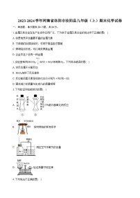 2023-2024学年河南省洛阳市汝阳县九年级（上）期末化学试卷（含解析）