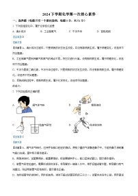 湖南省衡阳市博雅学校2024--2025学年九年级上学期第一次月考化学试题（解析版）