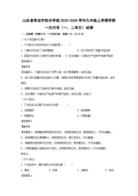 [化学]山东省枣庄市部分学校2023-2024学年九年级上学期学第一次月考(一、二单元)试卷(解析版)