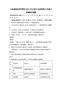 [化学][期中]山东省烟台市芝罘区2023-2024学年(五四学制)九年级下学期期中试题(解析版)