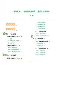 专题15 物质的检验、鉴别与除杂（讲义）-2024年中考化学一轮复习讲练测（全国通用）（原卷版）