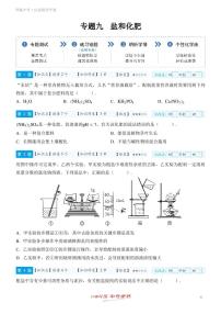 【一轮复习】备战2025年中考化学专题训练--专题九 盐和化肥（教师版+学生版）