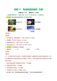 专题09 构成物质的微粒 元素（测试）-中考化学一轮复习讲练测（全国通用）（解析版）
