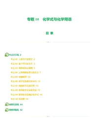 专题10 化学式与化学用语（练习）-中考化学一轮复习讲练测（全国通用）（解析版）
