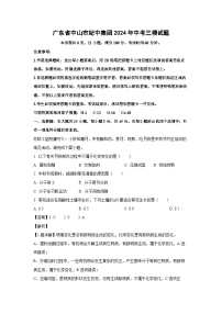 [化学][三模]广东省中山市纪中集团2024年中考试题(解析版)