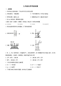 山东省潍坊市诸城市南湖学校2024-2025学年九年级上学期开学考试化学试题（原卷版+解析版）