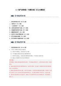 2.3 氧气的制备（专题训练）（含答案） 2024-2025学年九年级化学上册同步知识解读与专题训练（沪教版2024）