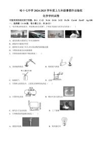 [化学]黑龙江省哈尔滨市第十七中学校2024～2025学年九年级上学期开学试卷(有答案)