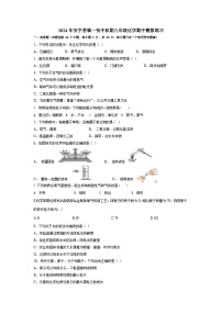 河南省南阳市镇平县安子营镇第一初级中学2024-2025学年九年级上学期期中化学模拟练习