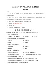 2024-2025学年九年级化学上学期第一次月考模拟卷（沪教版）