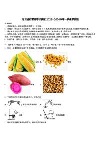 2024年河北省石家庄市长安区中考一模化学试题