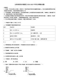 2024年山东省济南市槐荫区中考模拟化学试卷