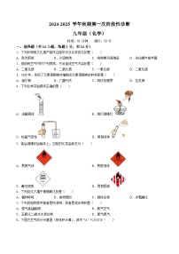 河南省郑州市陈中实验学校2024-2025学年九年级上学期第一次月考化学试卷(无答案)