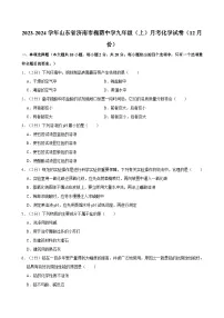 山东省济南市槐荫中学2023-2024学年九年级上学期12月月考化学试题