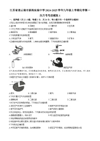 江苏省连云港市新海实验中学2024-2025学年九年级上学期化学第一次月考考前模拟1(无答案)