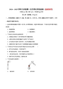 江苏省盐城市2024—2025学年九年级上学期第一次月考化学优选卷