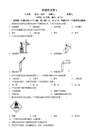 河南省实验中学2024-2025学年九年级上学期9月阶段性检测化学试卷