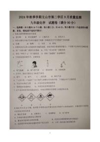 云南省文山州文山市第二学区2024-2025学年九年级上学期9月联考化学试题