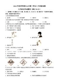 云南省文山州文山市第二学区2024-2025学年九年级上学期9月联考化学试题