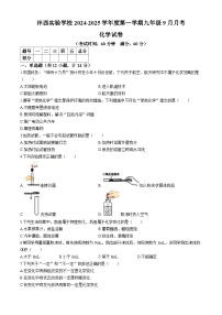 陕西省西安市西咸新区沣西实验学校2024-2025学年九年级上学期9月月考化学试题(无答案)