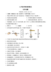 江苏省徐州市沛县2023-2024学年九年级上学期10月月考化学试卷（含答案解析）