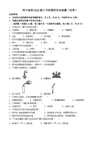 江苏省南京师范大学附属实验学校2024-2025学年九年级上学期9月月考化学试题(无答案)