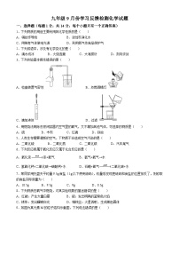 河南省光山县慧泉中学2024-2025学年九年级上学期9月月考化学试题(无答案)