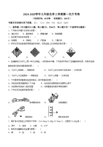 山东省聊城市茌平区第一中学附属中学2024-2025学年九年级上学期9月底化学月考试题(无答案)