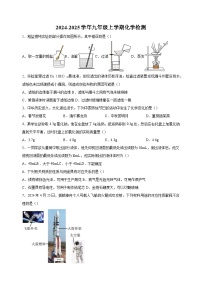 江苏省徐州市撷秀初级中学2024-2025学年九年级上学期第一次检测化学试卷（含答案解析）