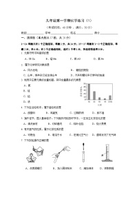 上海市2024-2025学年九年级上学期化学月考模拟练习