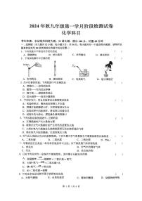 湖南省长沙市中雅培粹学校2024-2025学年九年级上学期第一次月考化学试卷