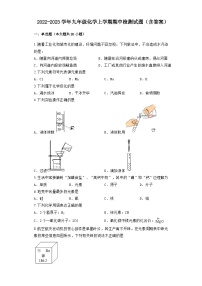 广东省广州市海珠区六中珠江中学2022-2023学年九年级化学上学期期中检测试题